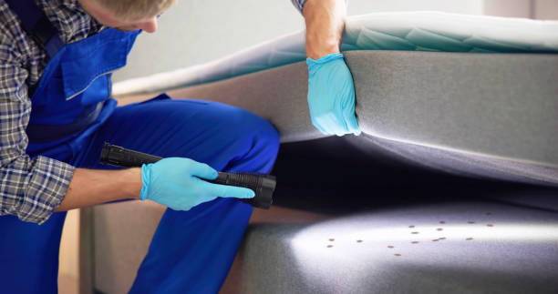 Reliable Helena Valley Northeast, MT Pest Control Solutions