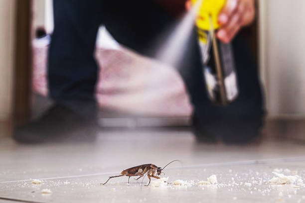 Best Commercial Pest Control Services  in Helena Valley Northeast, MT