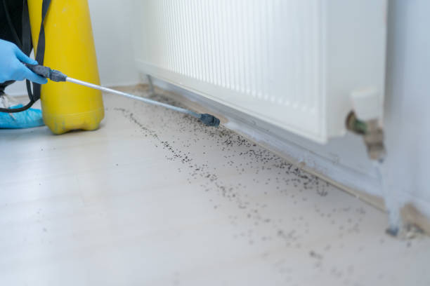 Pest Prevention Services in Helena Valley Northeast, MT